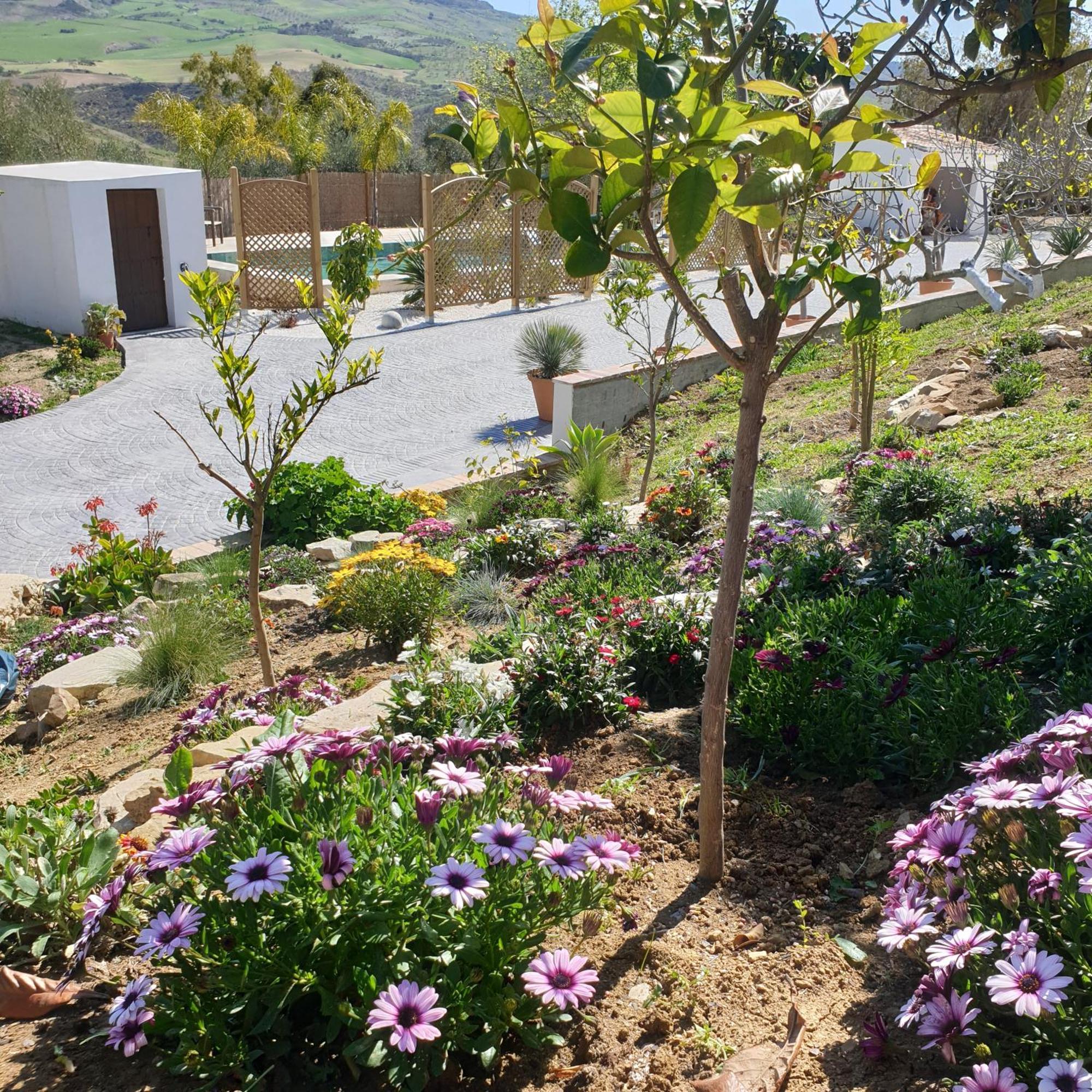 Finca Altozano - Private Pool - Unique Client Valle de Abdalajís Exterior foto